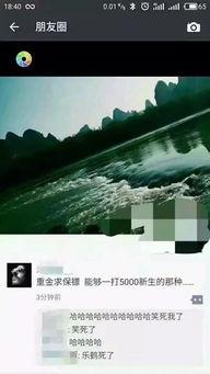 911爆料精彩瞬间 今日吃瓜每日更新朝阳群众,朝阳群众每日吃瓜，揭秘社会热点